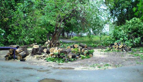 Вырубка деревьев Ижевск ул Дзержинского